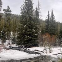 Moose Creek Campground ico