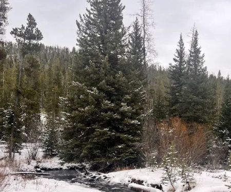 Moose Creek Campground