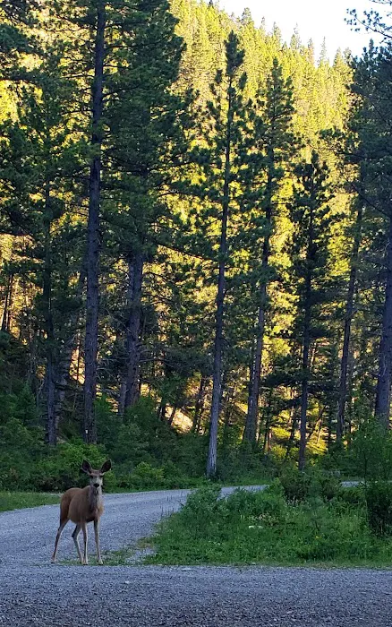 Logging Creek Campground Picture 4