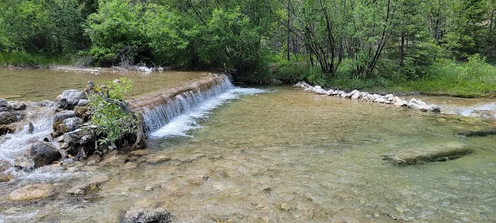 Logging Creek Campground Picture 5