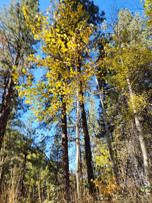 Bird Creek Campground Picture 3