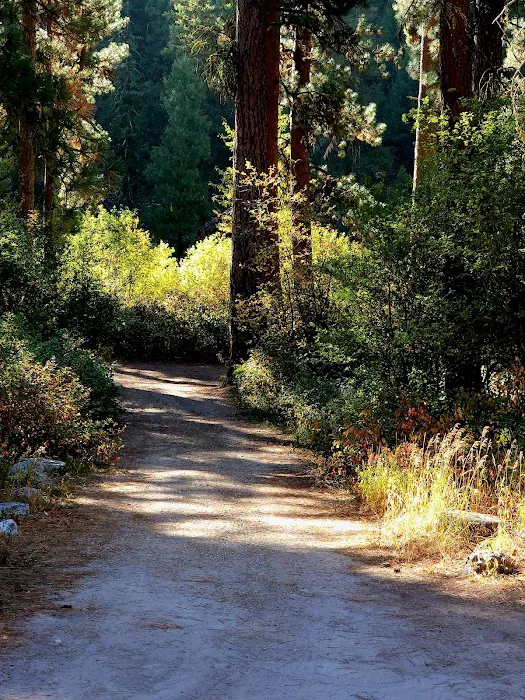 Bird Creek Campground Picture 7