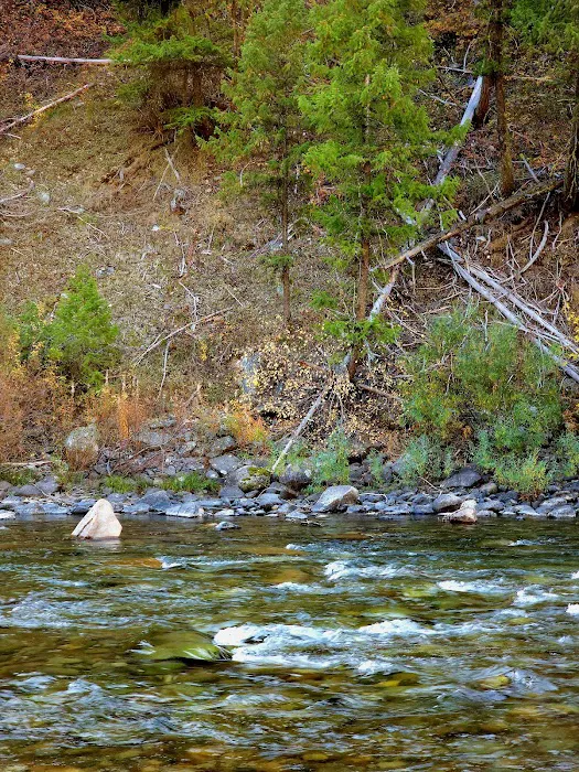 Bird Creek Campground Picture 5