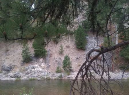 Chaparral Campground