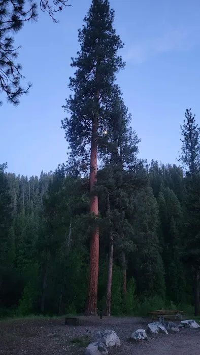 Chaparral Campground Picture 4