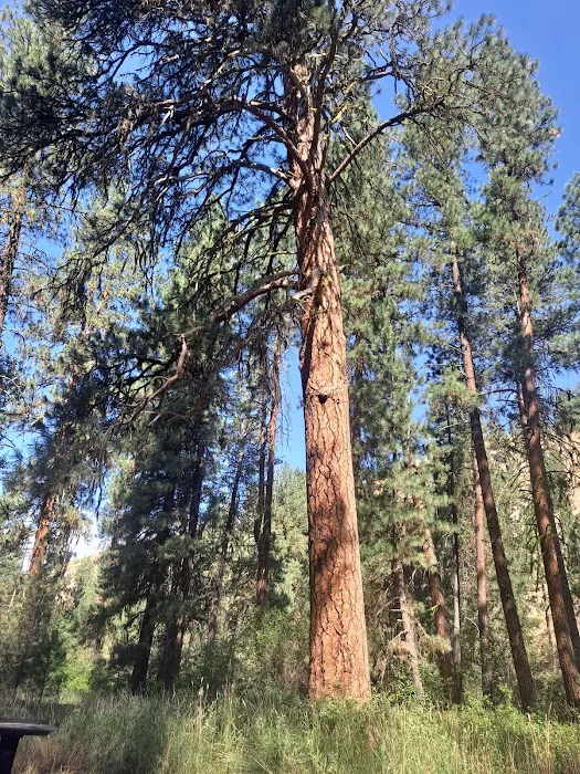 Abbot Campground Picture 3