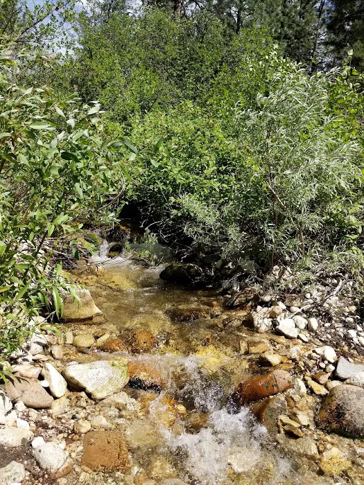 Abbot Campground Picture 9