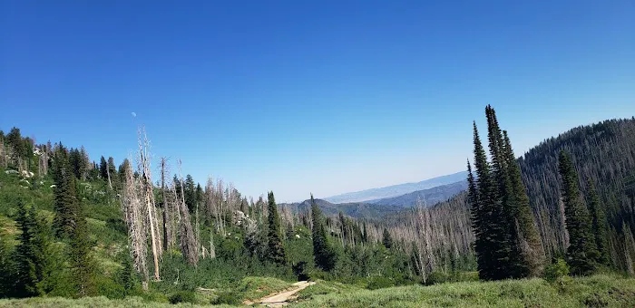 Baumgartner Campground Picture 3