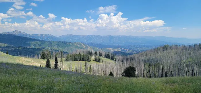 Little Trinity Lake Campground Picture 2