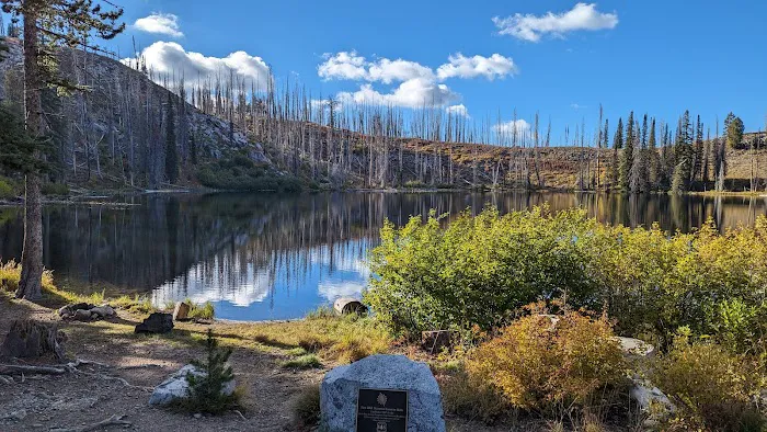 Little Trinity Lake Campground Picture 3