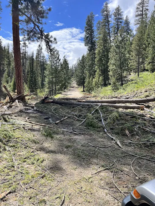 Little Trinity Lake Campground Picture 1