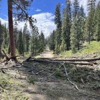 Little Trinity Lake Campground ico