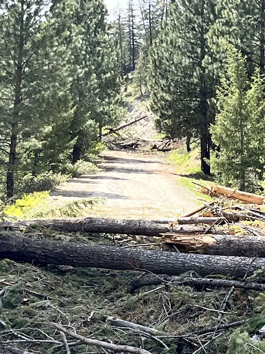 Little Trinity Lake Campground Picture 6