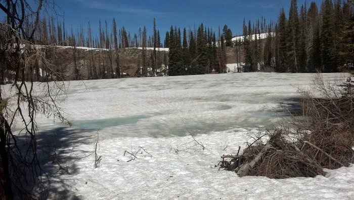 Little Trinity Lake Campground Picture 4