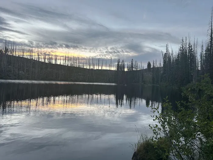 Little Trinity Lake Campground Picture 8