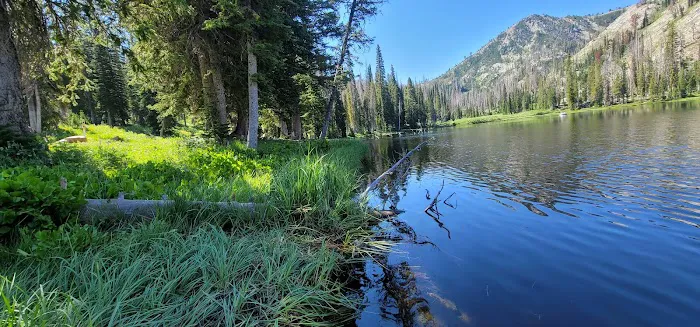Little Trinity Lake Campground Picture 7