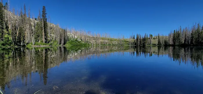 Little Trinity Lake Campground Picture 10