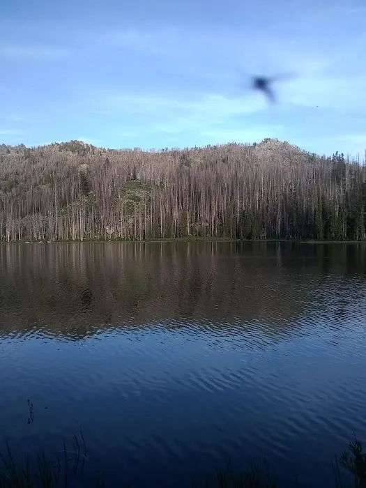 Big Trinity Lake Campground Picture 1