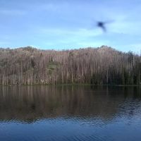 Big Trinity Lake Campground ico