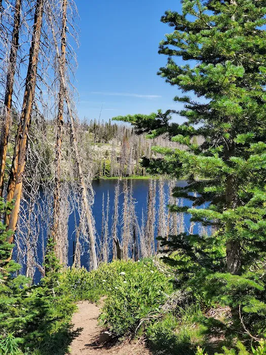 Big Trinity Lake Campground Picture 7