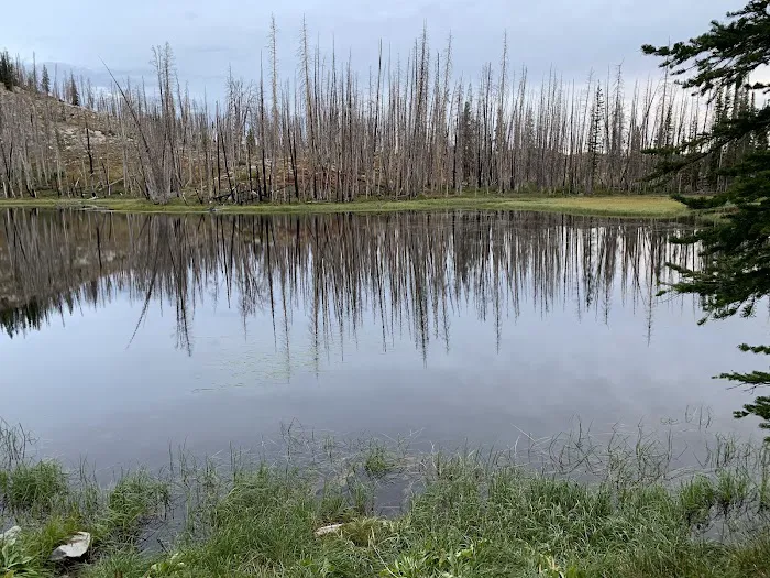 Little Roaring River Lake Campground Picture 3