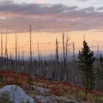 Little Roaring River Lake Campground