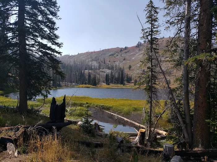 Little Roaring River Lake Campground Picture 2