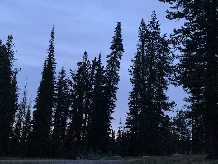Little Roaring River Lake Campground Picture 4