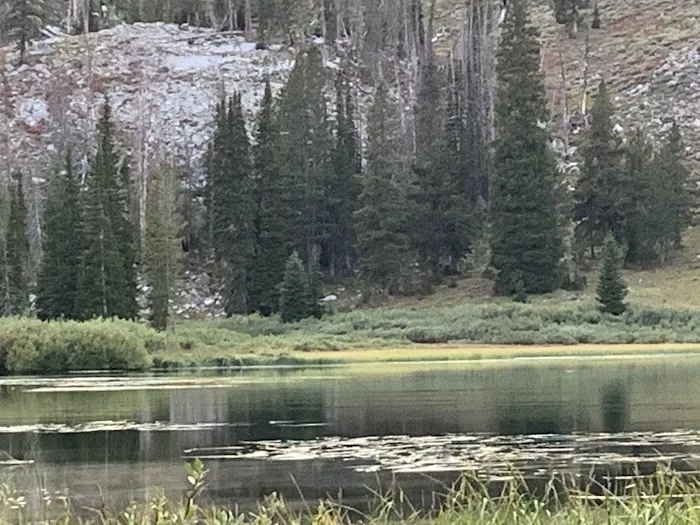 Little Roaring River Lake Campground Picture 9