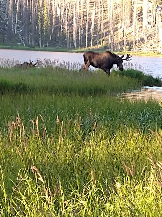 Big Roaring River Lake Campground Picture 3