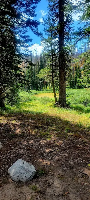 Big Roaring River Lake Campground Picture 6