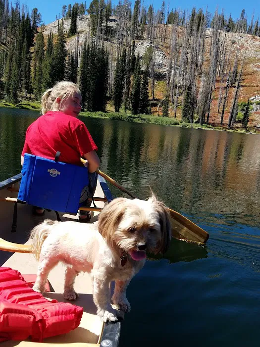 Big Roaring River Lake Campground Picture 9
