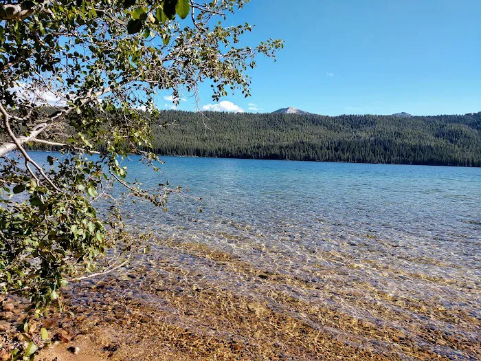 North Shore Campground Picture 6