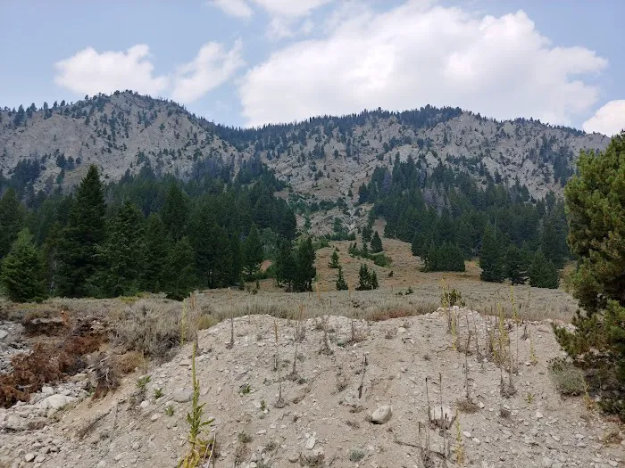 Smokey Bear (Alturas) Campground Picture 5