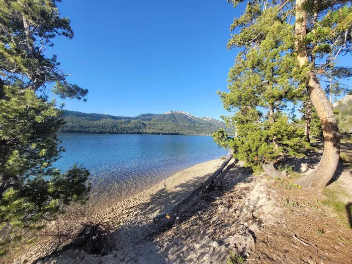 Smokey Bear (Alturas) Campground Picture 3