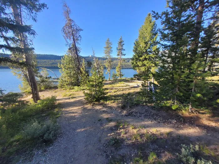 Smokey Bear (Alturas) Campground Picture 8