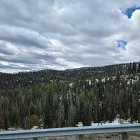 Smokey Lodge ico