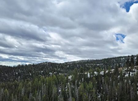 Smokey Lodge