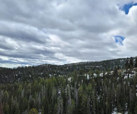 Smokey Lodge