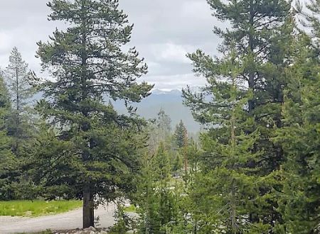 Cabin Creek Recreation Camp