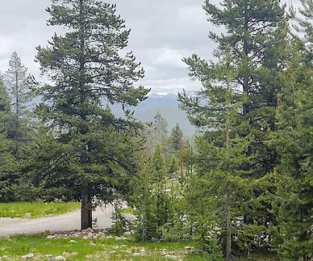 Cabin Creek Recreation Camp
