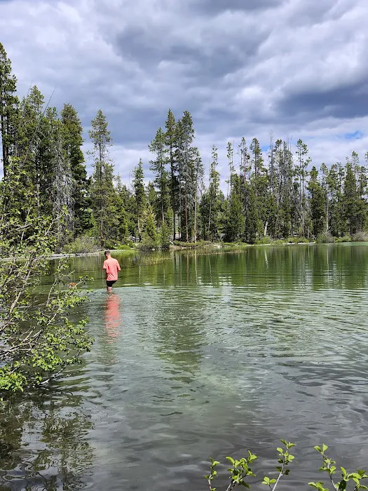 Pettit Lake Campground Picture 3