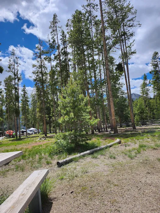 Pettit Lake Campground Picture 5
