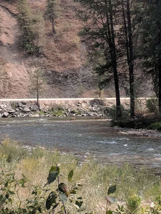 Troutdale Campground Picture 7