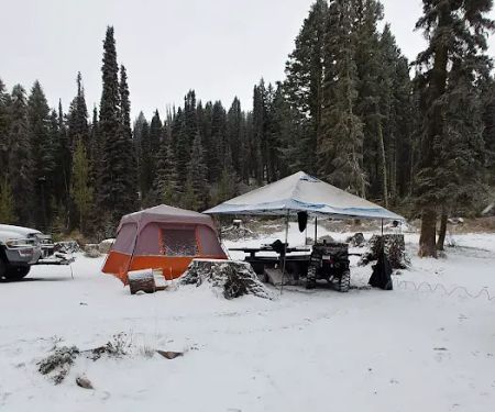 Bald Mountain Campground