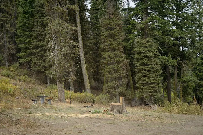 Bald Mountain Campground Picture 3