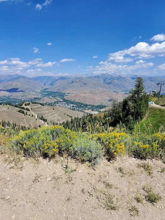 Bald Mountain Campground Picture 6