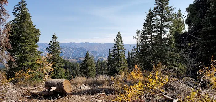 Bald Mountain Campground Picture 7