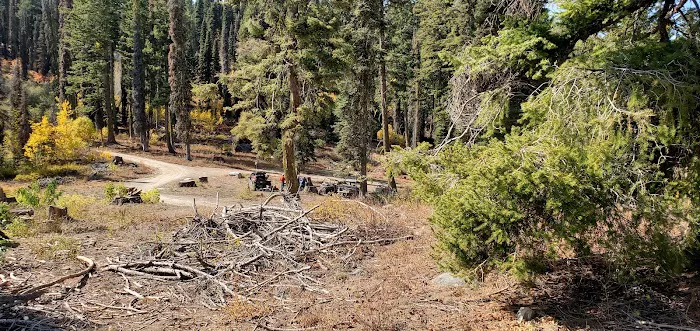 Bald Mountain Campground Picture 10