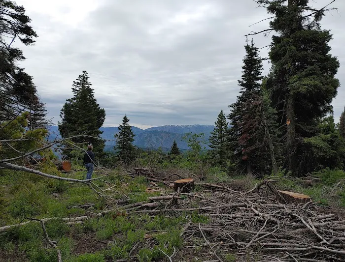 Badger Creek Campground Picture 6